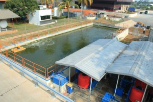 WWTP