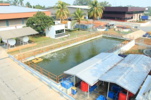 WWTP1